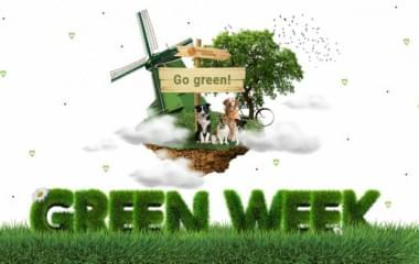 Green Week at Symphony Solutions. How to Run Eco-Friendly IT Company?